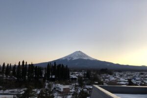 IMG_3379