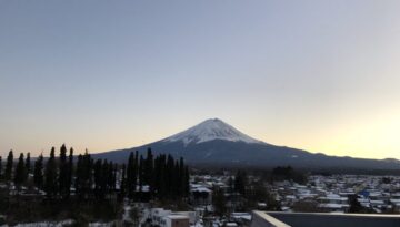 IMG_3379
