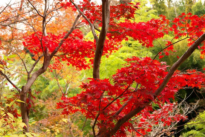 2025年12月　社内報