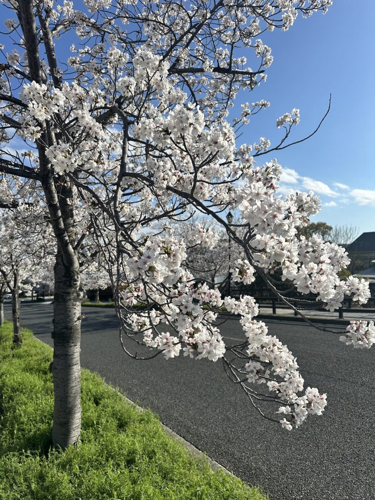 2026年4月　社内報