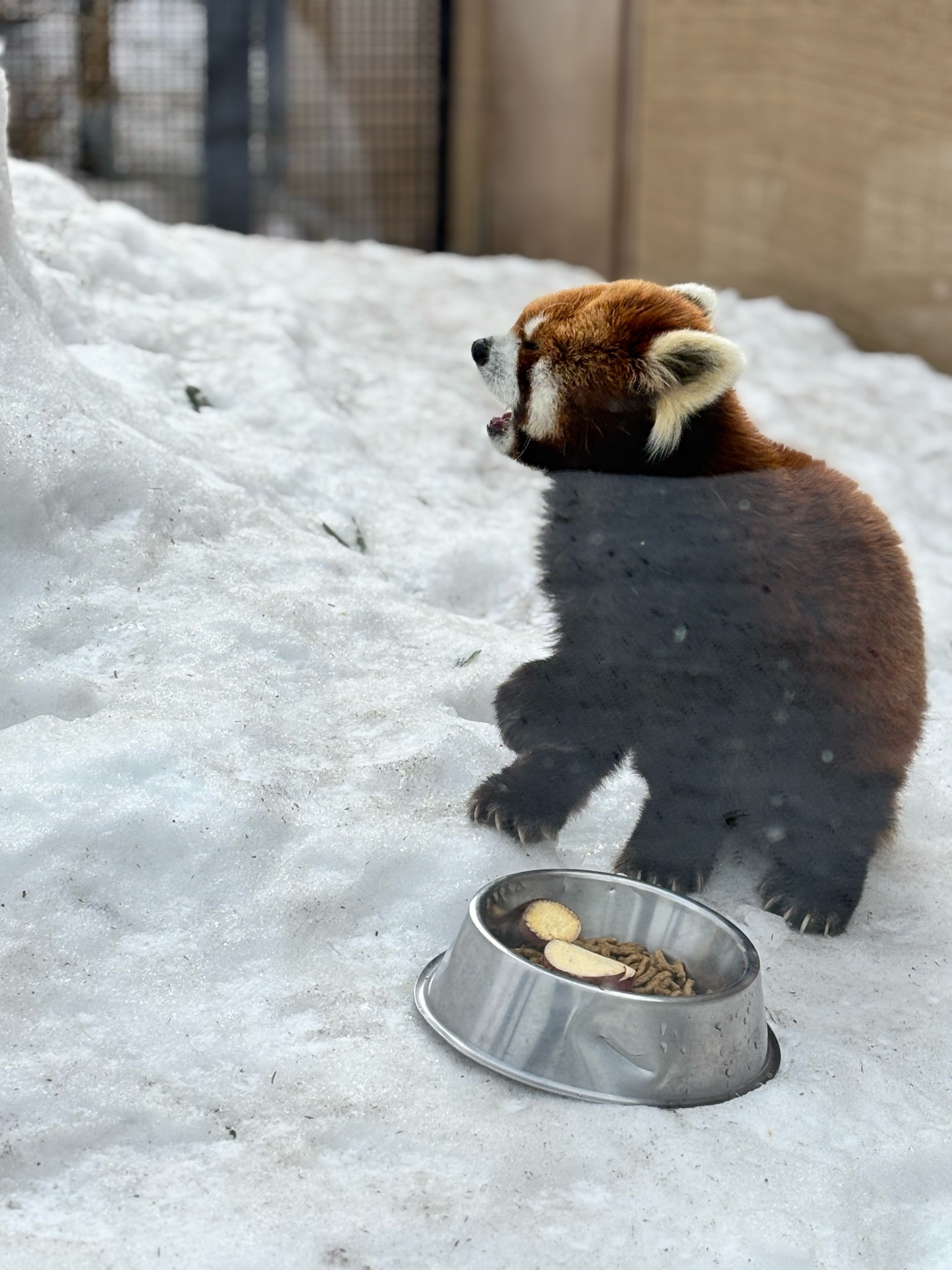 2026年3月　社内報