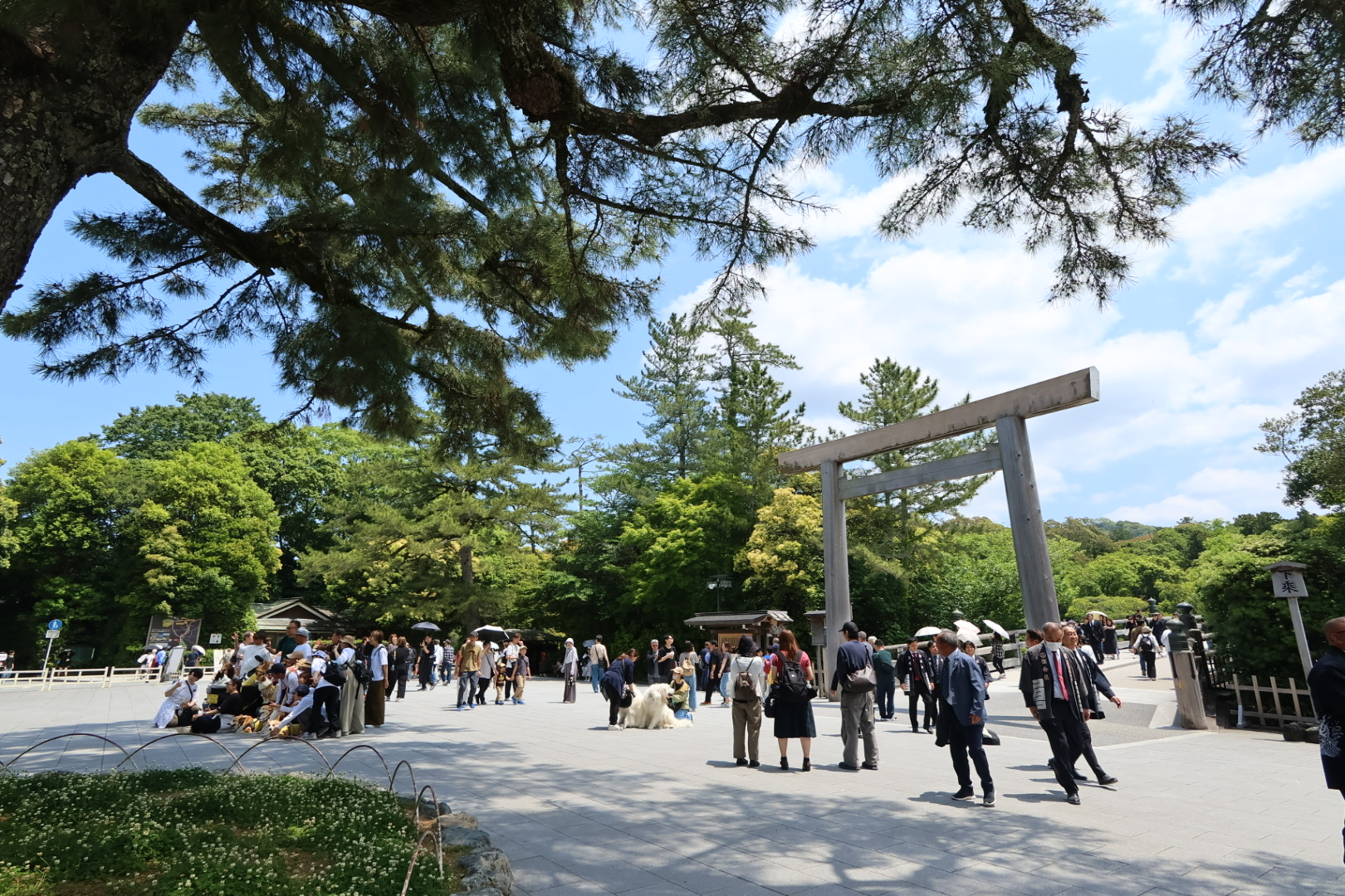 2026年6月　社内報